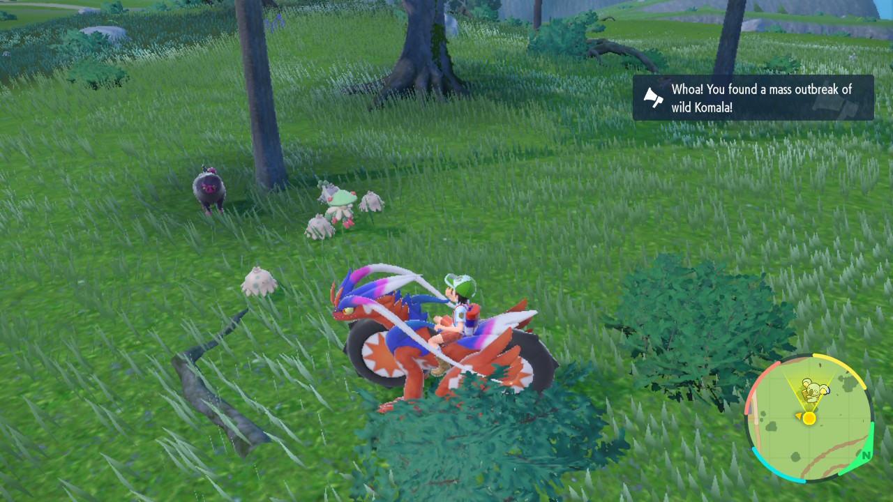 Actual Mushrooms.jpg