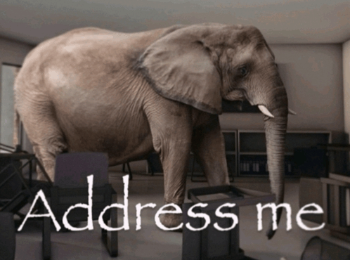 address-the-elephant-in-the-room-address-me.png