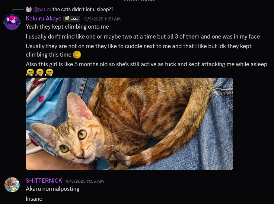akarucats2.png