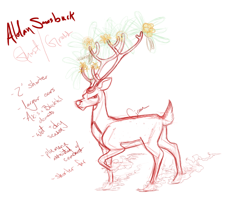 DEER DRAWS  Smogon Forums