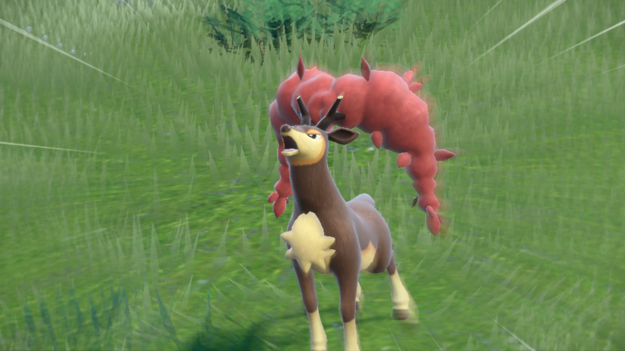 Autumn Sawsbuck.jpg