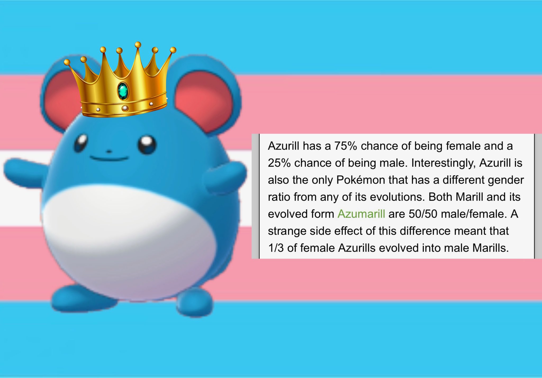 Azurill says trans rights.jpg