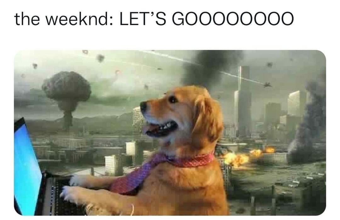 B3C0F040-E372-4021-8047-66C982DB7603.jpeg