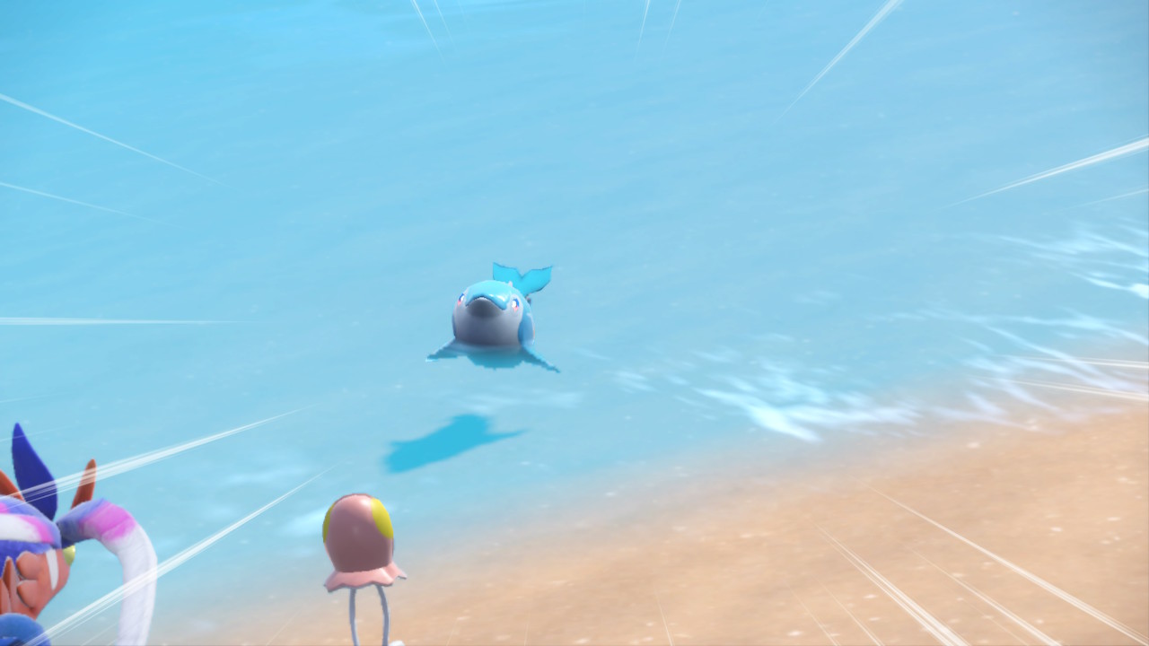 Baby Dolphin.jpg