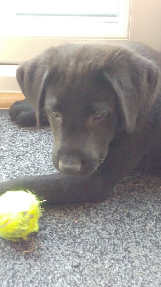 ball.jpg