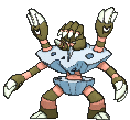 Barbaracle_XY.gif