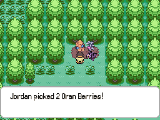 berries1.png