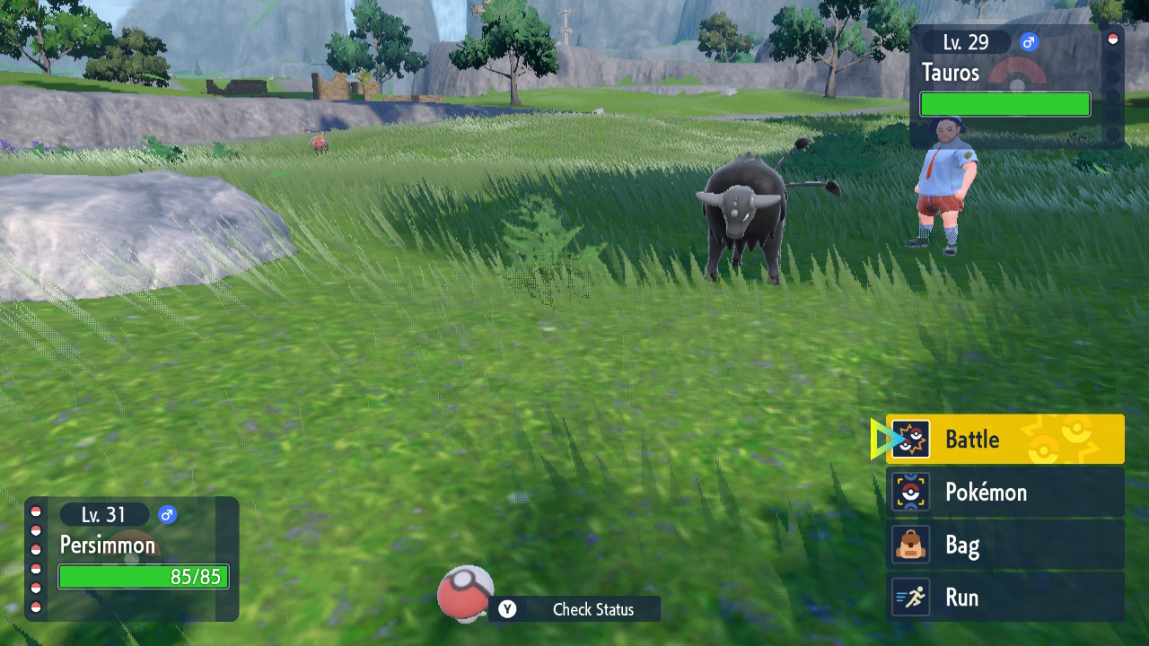 Big Bull Small Mushroom.jpg