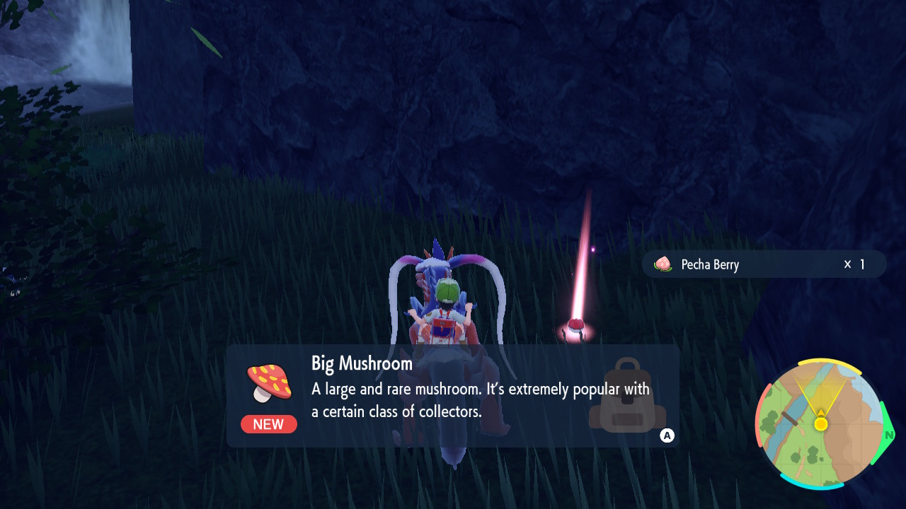 Big Mushroom.jpg