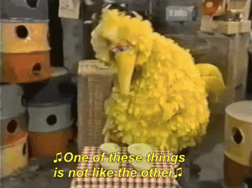 bigbird-one-of-these-things-is-not-like-the-others.gif