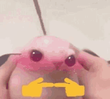bingus-cute-shy-omg.gif