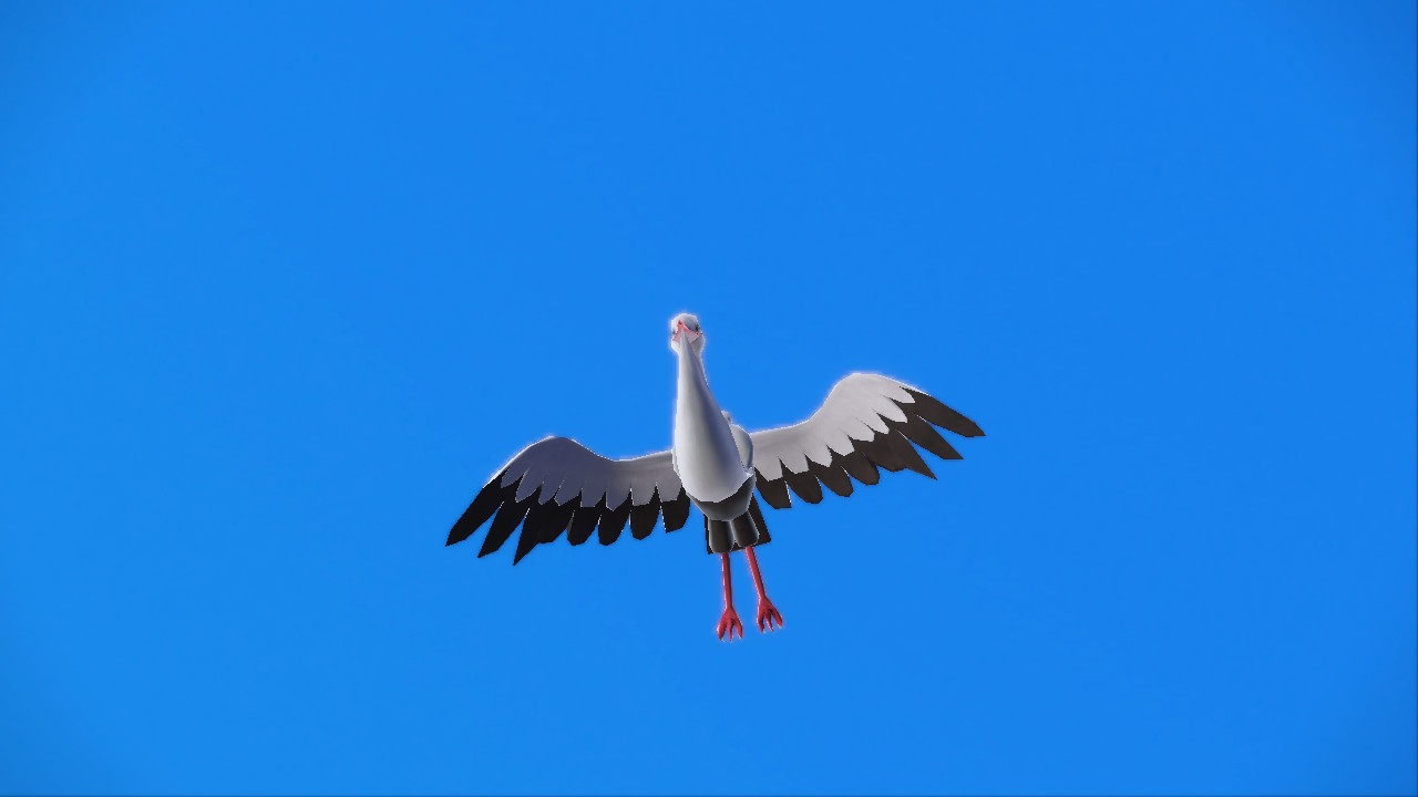 Bird Flying.jpg