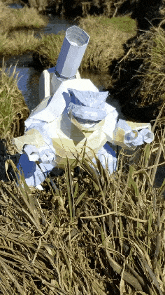 Blastoise-Mega (1).gif