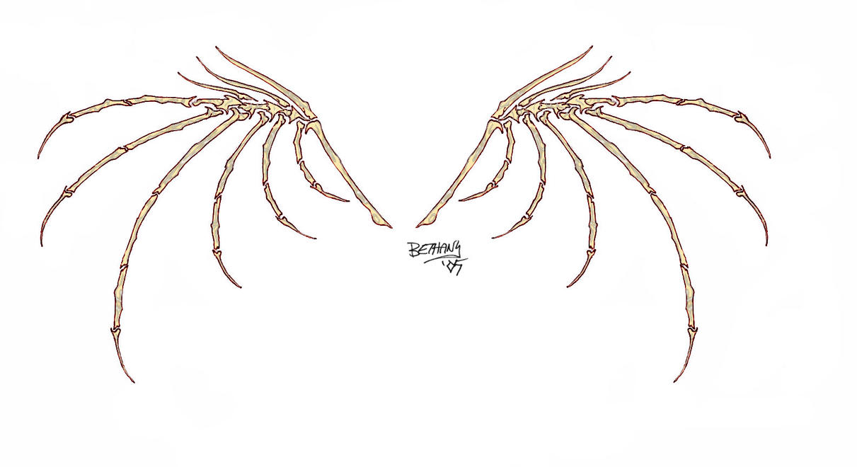 bone wings.jpg