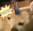 bonk.png