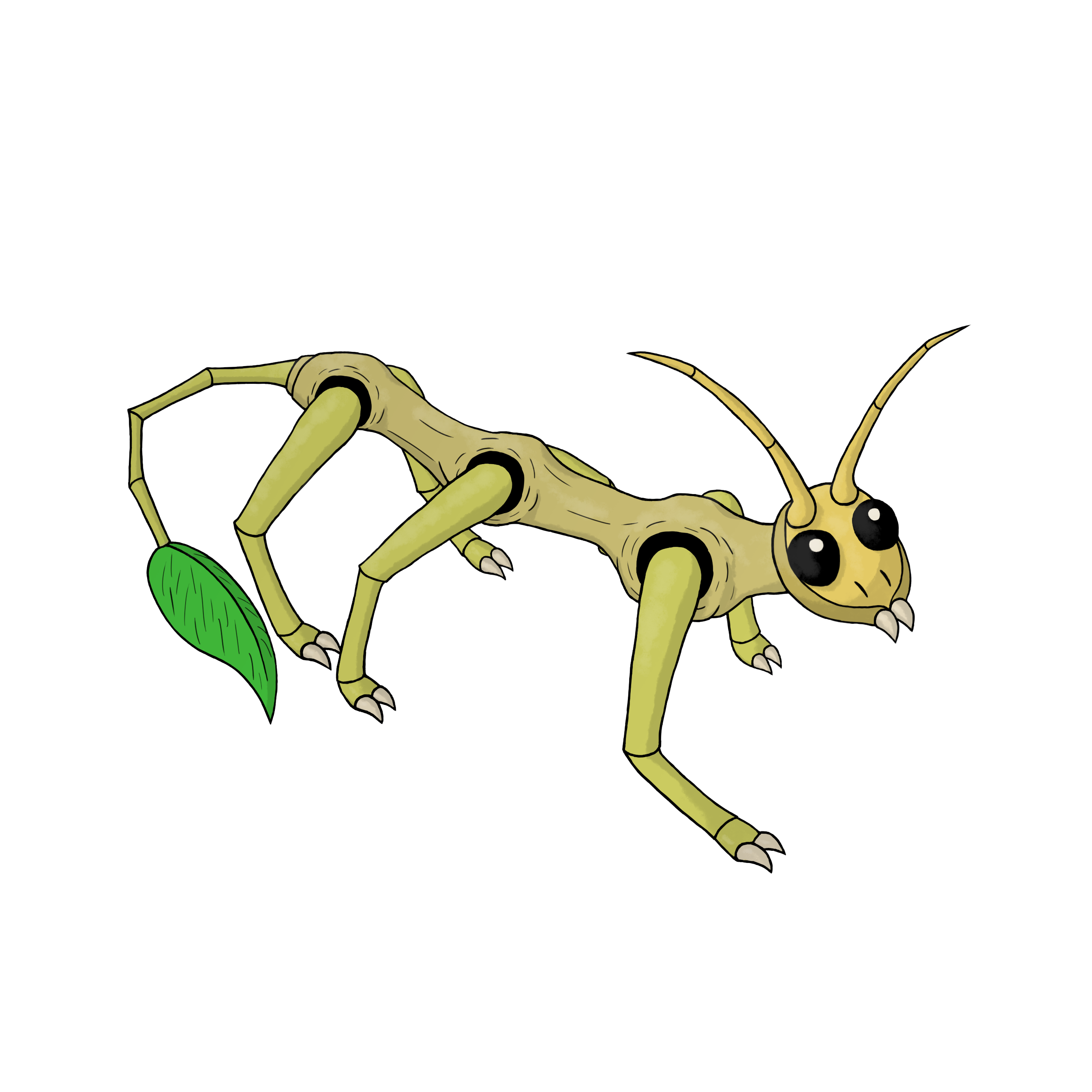 Branchiminus.png