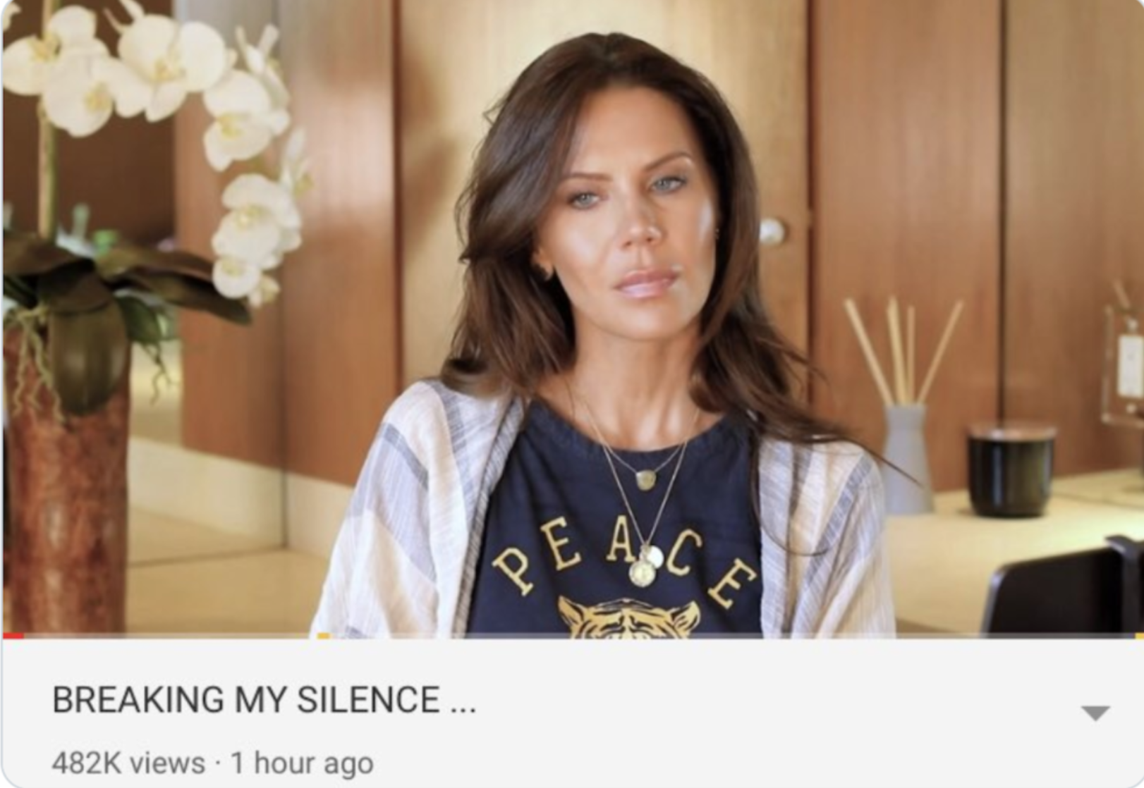 breakingmysilence.png