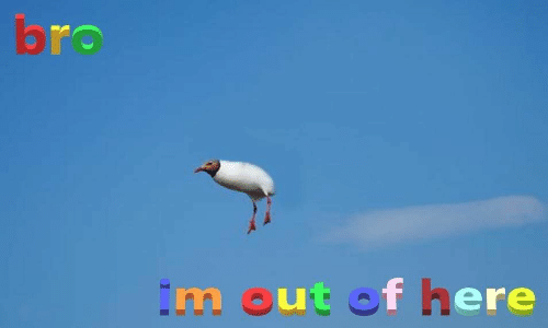bruh.png