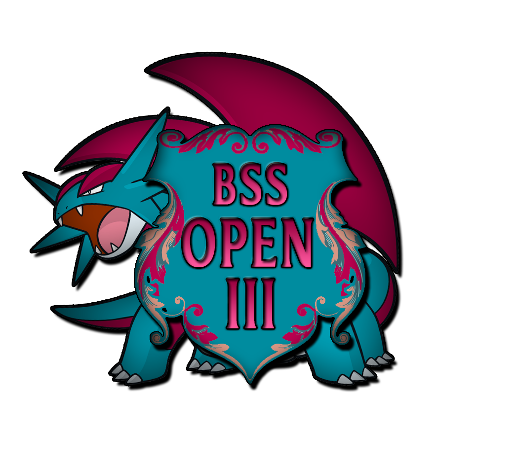 BSS_OPEN.png