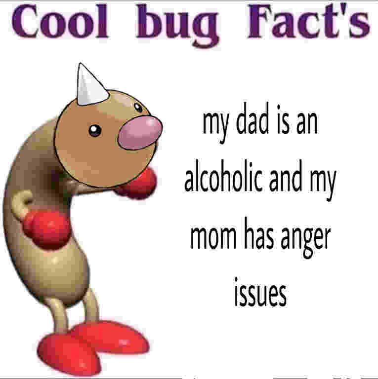 bug.jpg