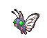 butterfree.png