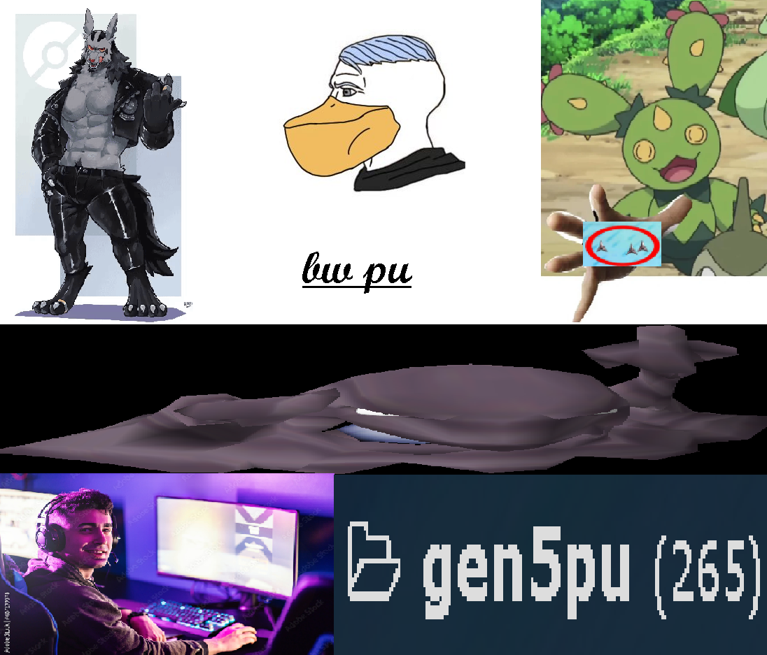 bw pu w2.png