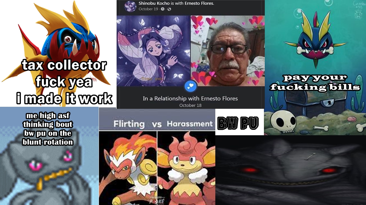 bwpl w3.jpg