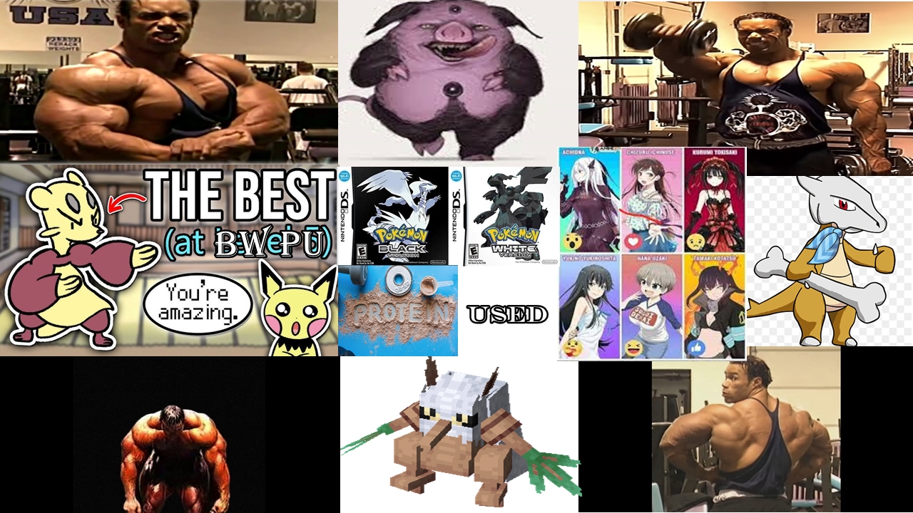 bwpl w5.jpg