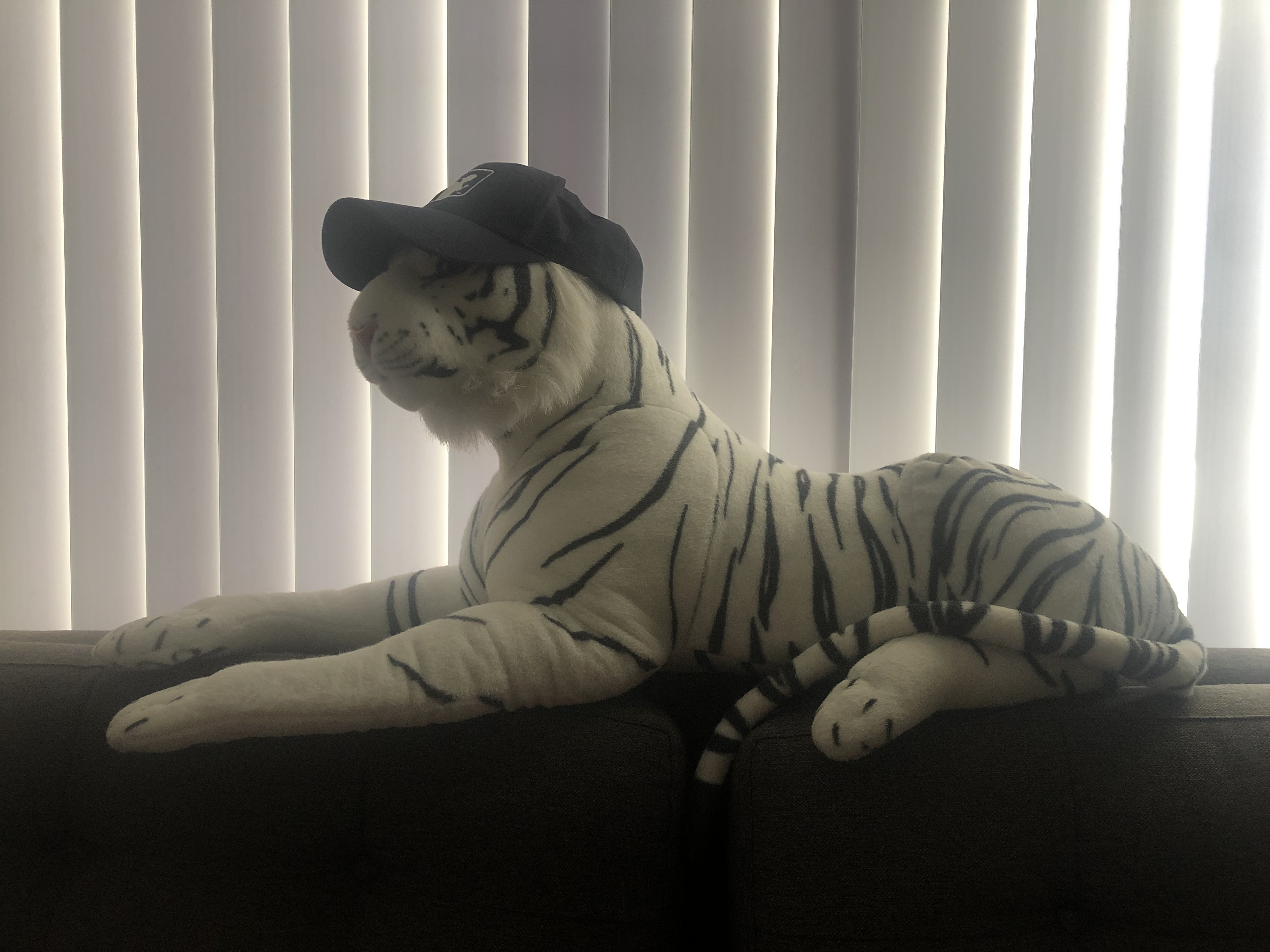 C291295B-9A24-4D22-8668-D9C7E4744C41.jpeg