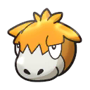 camerupt.png