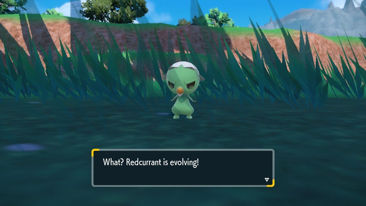 Capsakid Evolve.jpg