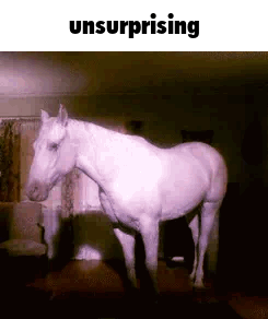 caption.gif