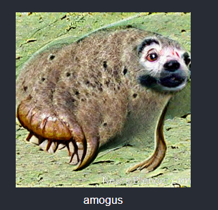 Capture 222.PNG