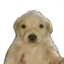 carlos.png