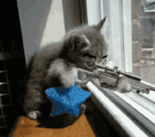 cat-gun.gif