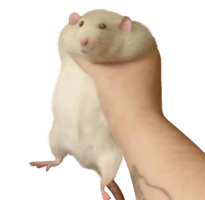 catchrat.png