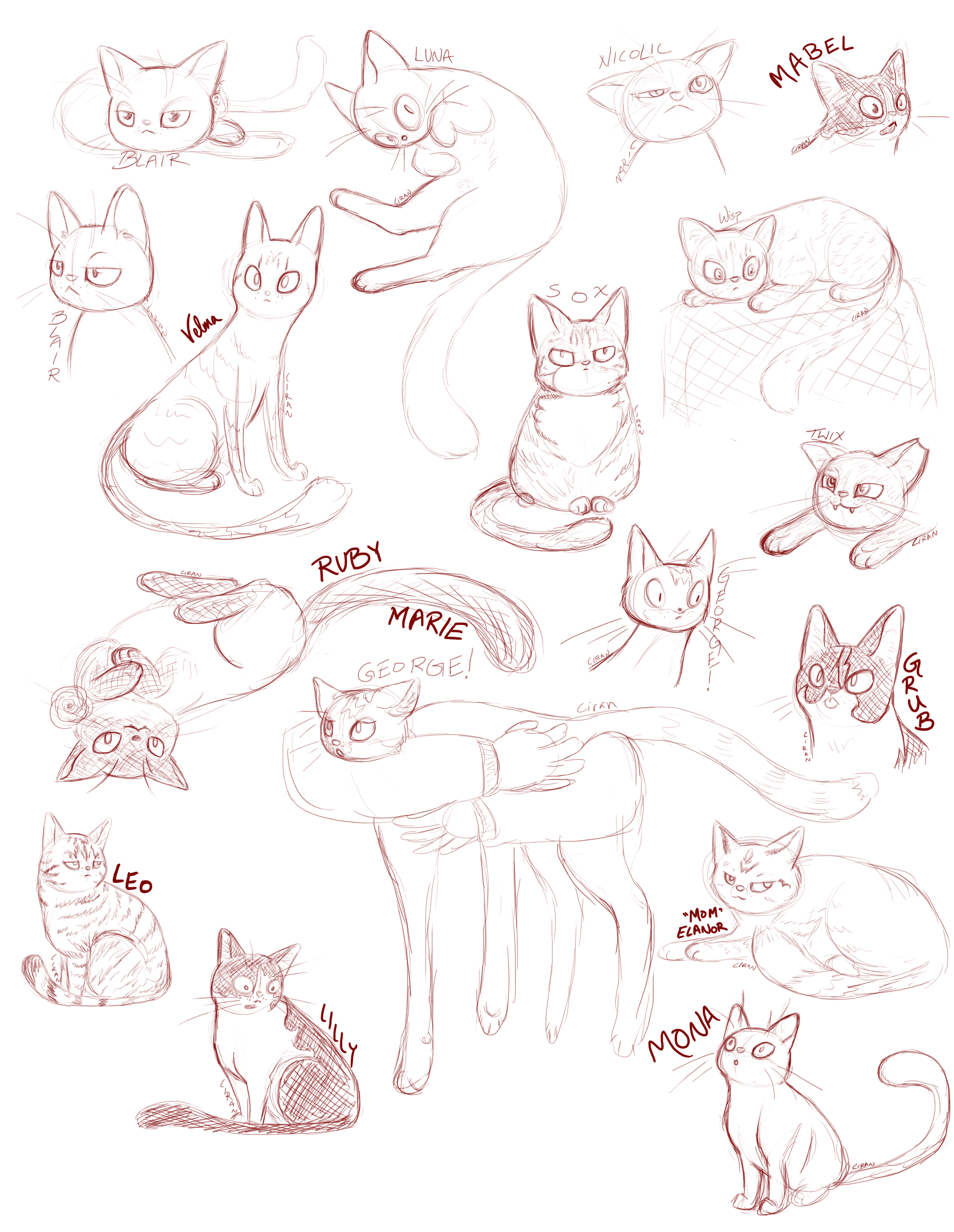 cats.png
