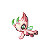 Celebi.png