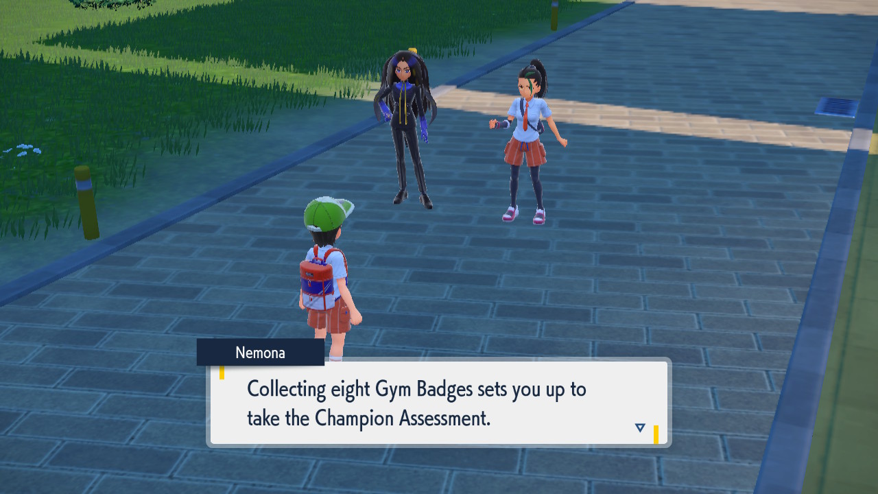 Champion Assessment.jpg