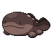 clodsire.gif