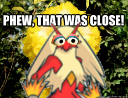 closebigbirdblaziken-png.480305