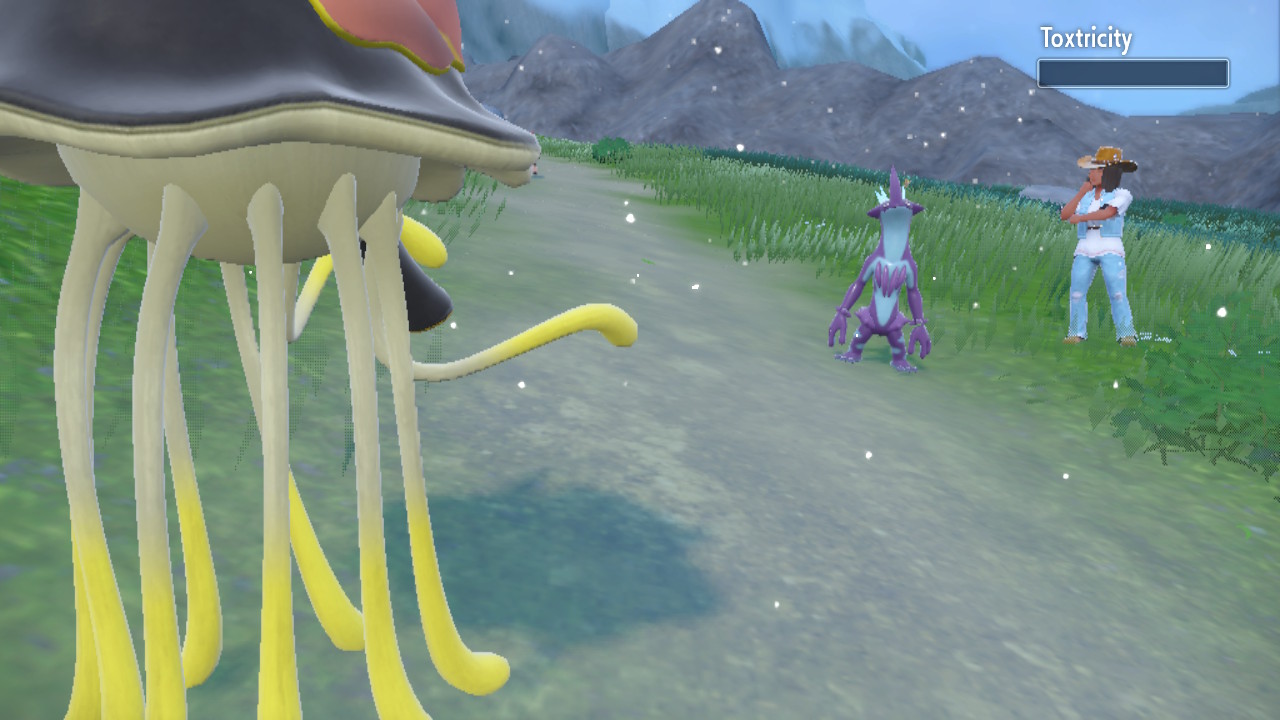 Coconut Hates Rock.jpg