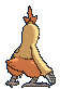 combusken-f.gif