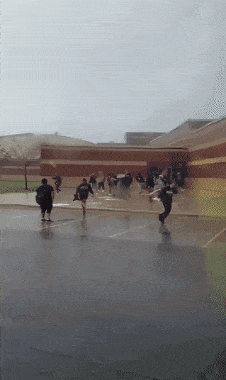 comp1.gif