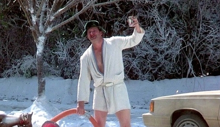 cousin-eddie-vacation (1).jpg