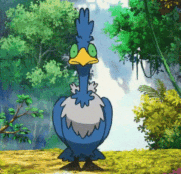 cramorant-nigosier-ezgif.com-resize.gif