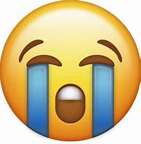 crying emoji.jpg