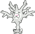 cursola.gif