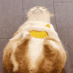 D1978601-890E-4103-9E1E-ABEC6F5A41A8.gif