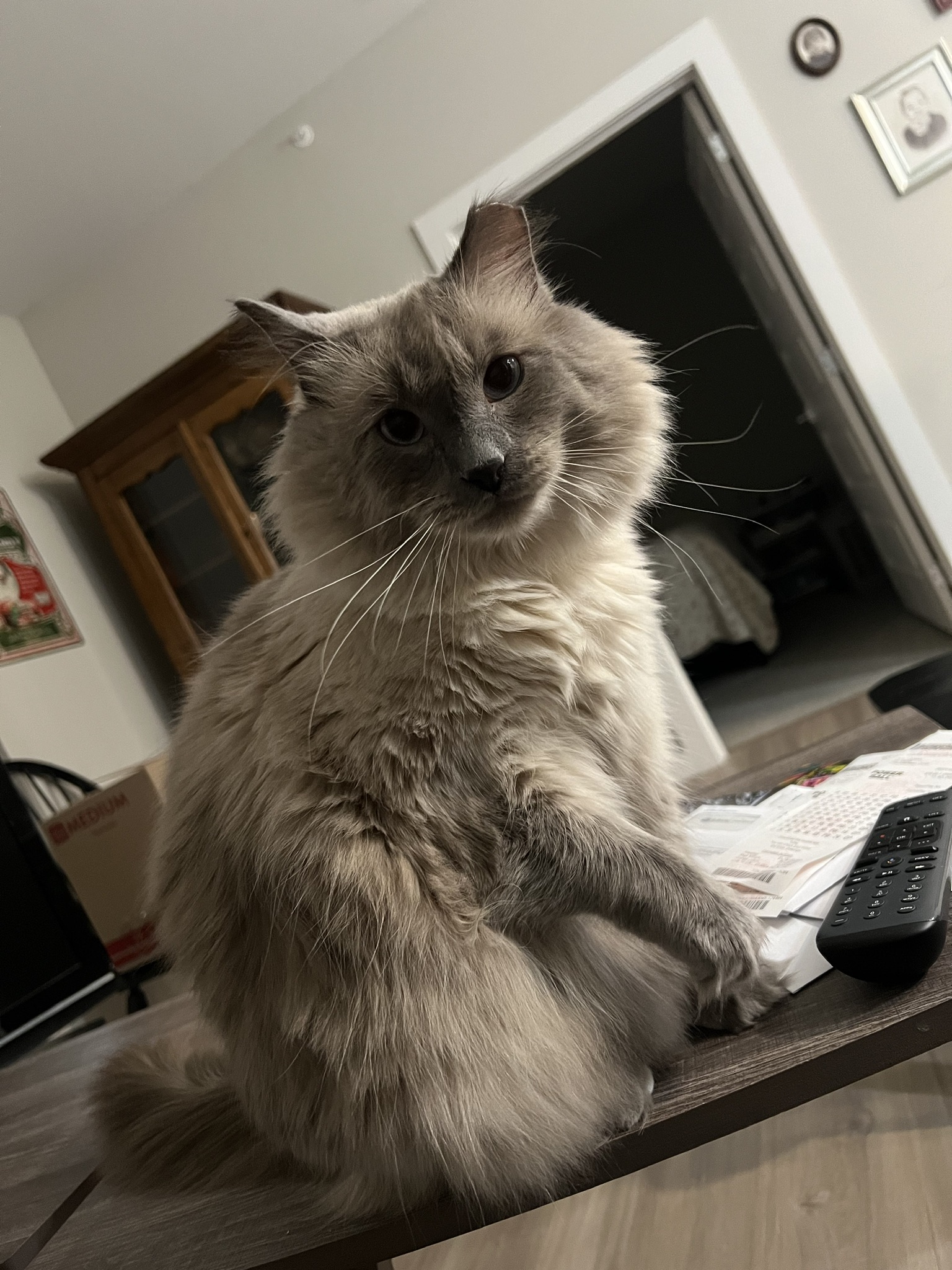 D33F0558-9C88-4F80-B580-A53DF14670E7.jpeg